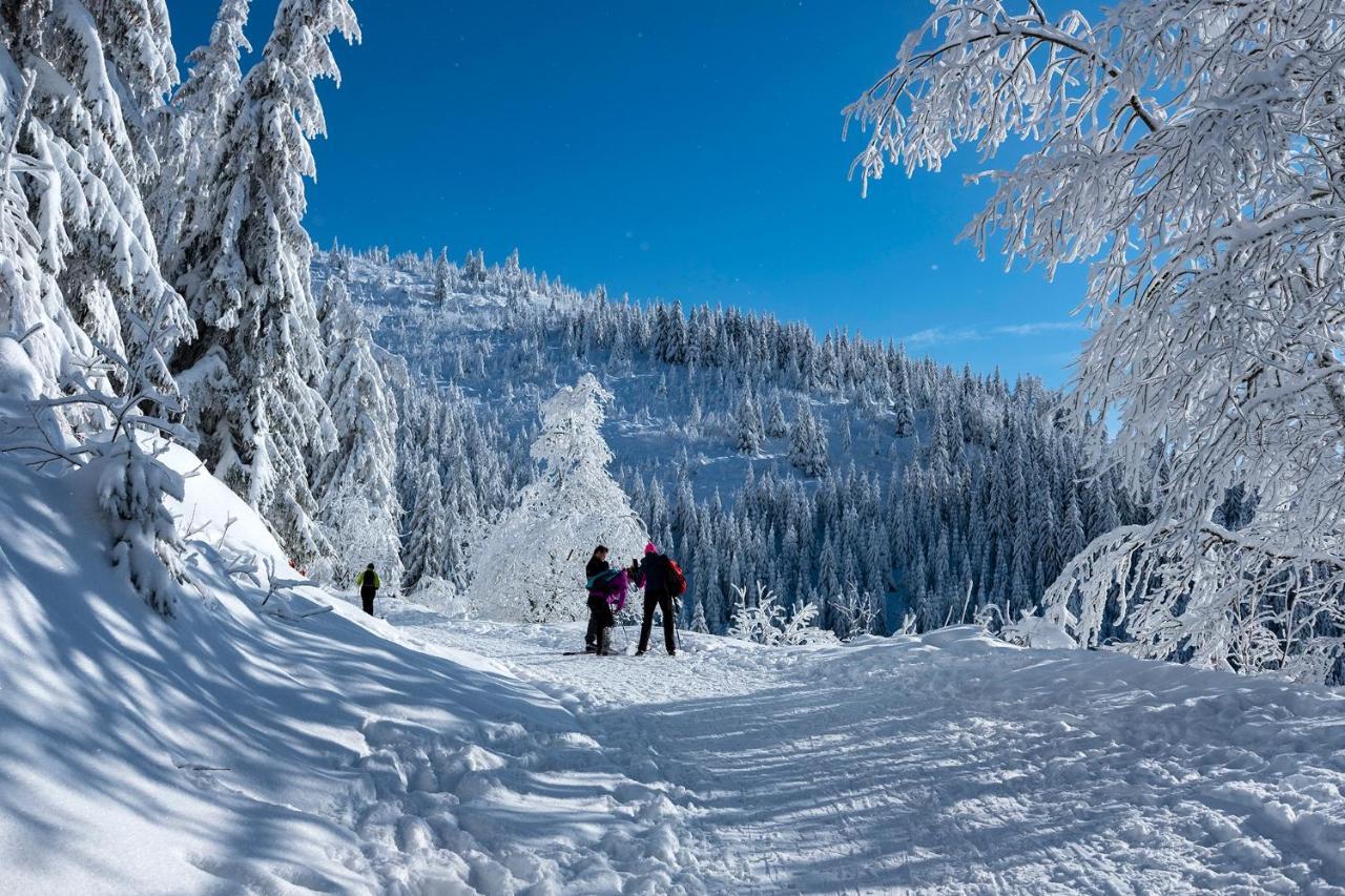 Stara Zvonica Hotell Nizna Boca Exteriör bild